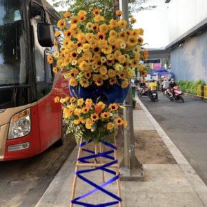 Hoa Khai Trương - 15