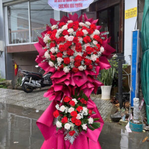 Hoa Khai Trương - KT97