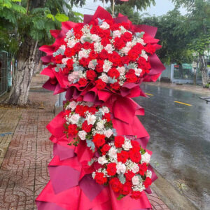 Hoa Khâi Trương - KT79