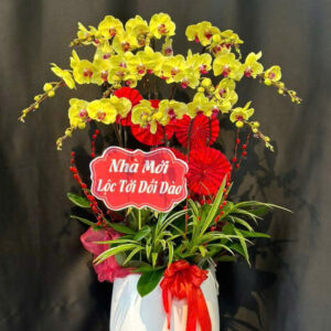 Chậu Lan Hồ Điệp - CL18