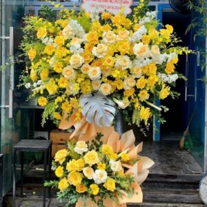 Hoa Khai Trương - KT22