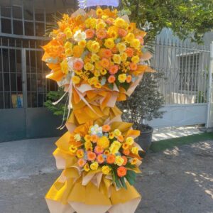 Hoa Khai Trương - KT38