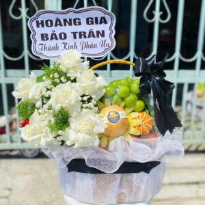 Giỏ Trái Cây - GTC43